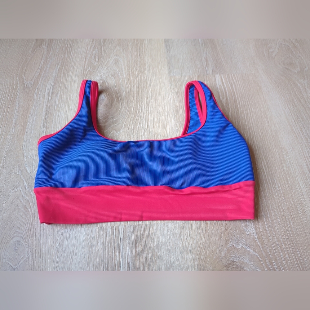 LainSnow Blue and Red Bikini Top